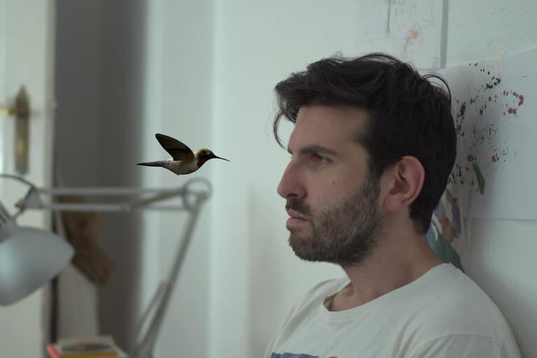 A man in a light-colored T-shirt looks at a hovering hummingbird indoors, with children's drawings and a desk lamp in the background.
