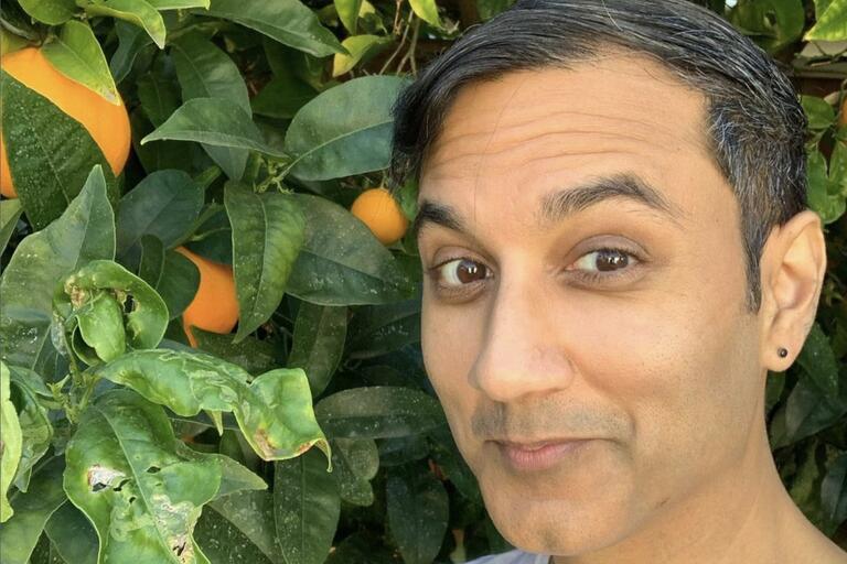 A person standing next to an orange tree with green leaves and ripe oranges.
