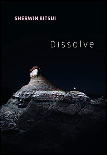 book cover with word dissolve on it