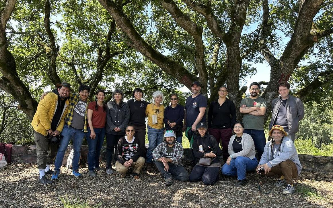 Group of Indigenous artists/scholars in front of tree