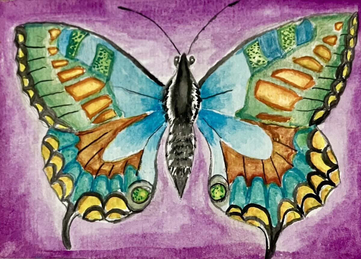 Eva Butterfly violet watercolor butterfly on violet background