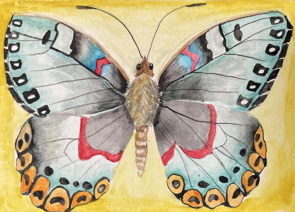 Eva yellow butterfly watercolor painting of a butterfly on yellow background