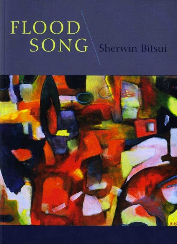 book cover with word fllod song and abstract image