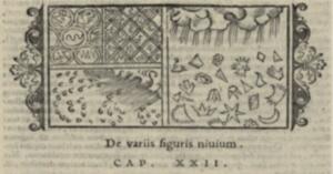  Antique illustration with four panels showing various patterns and shapes, bordered with scrollwork. Latin text below.